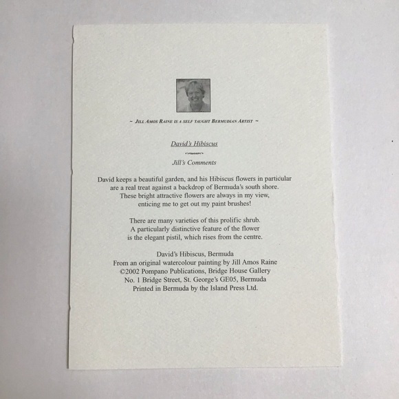 Jill Amos Raine Bermuda Artist Watercolor Scenes SET OF 4 Notelets Assorted NEW - Picture 8 of 14